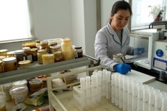 <b><b>绥芬河海关严把进口食物质量平安关</b></b>