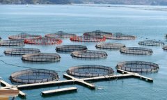 <b>2026水产养殖行业成长示状及将来趋向阐发</b>